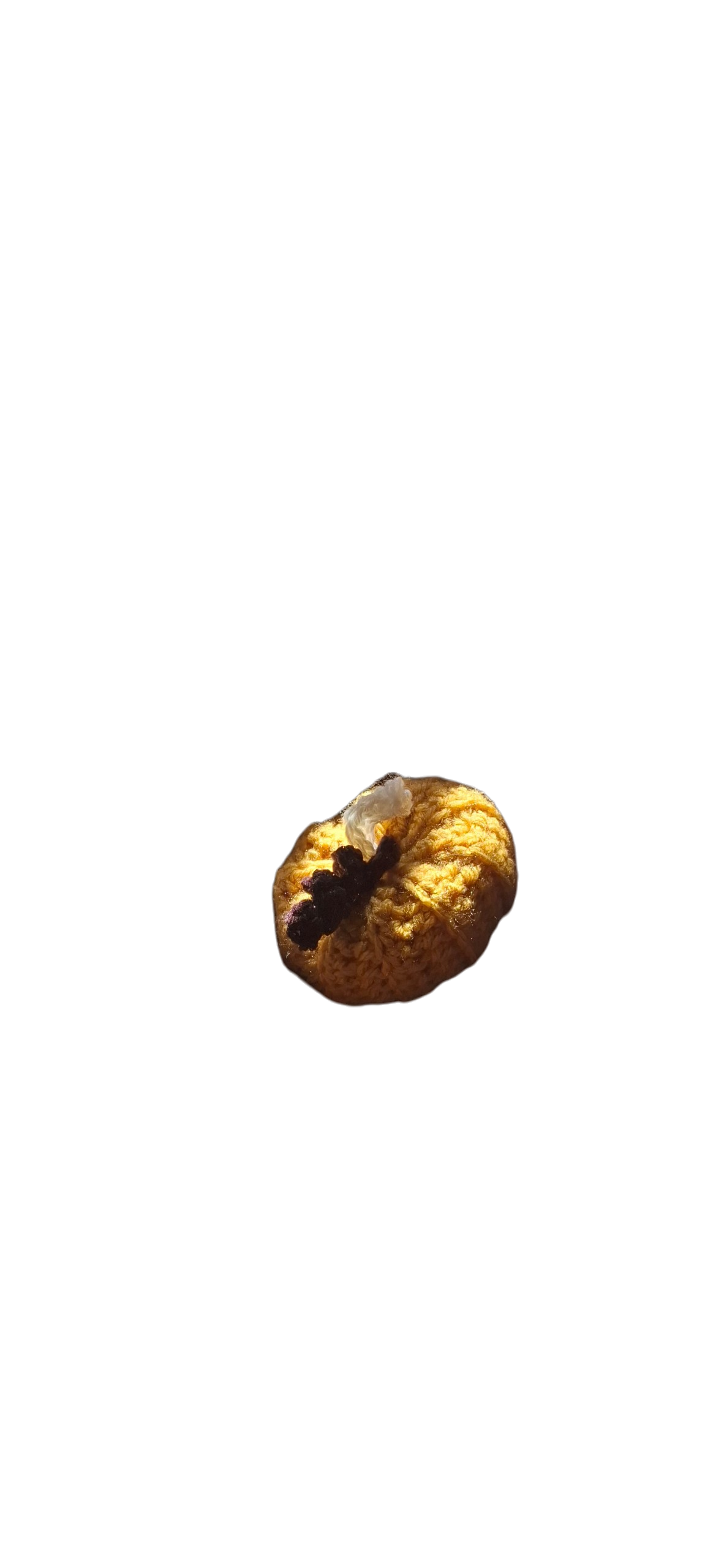 Citrouille automnale, vue 1