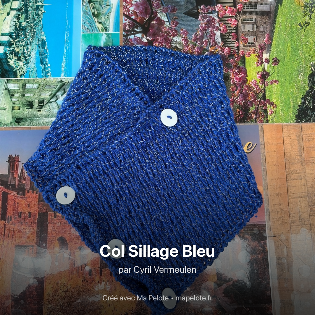 Col Sillage Bleu, vue 1